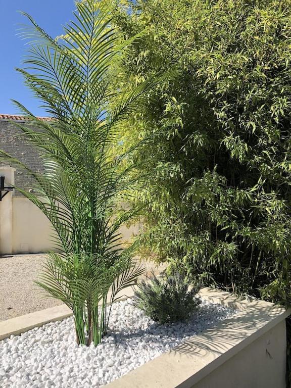 Beautiful Renovated Farmhouse With Private Heated Pool. Villa Saint-Pierre-d'Amilly Exterior photo